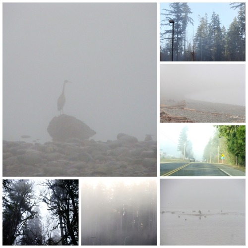 fog collage